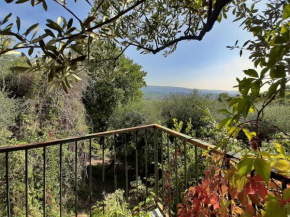 Ca Del Vajo Valpolicella House Negrar